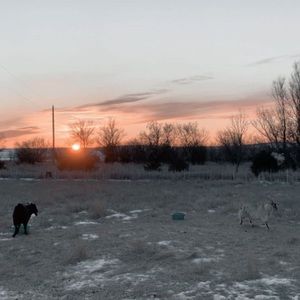 Meet your Posher, Shelby